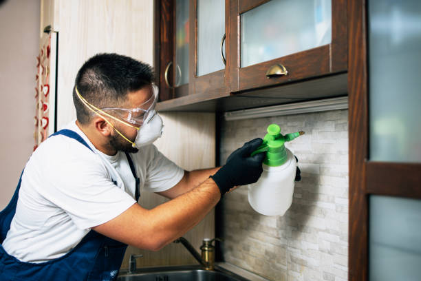 Best Pest Control Cost  in Grass Valley, CA