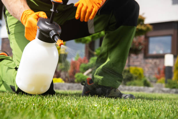 Best Pest Control Near Me  in Grass Valley, CA