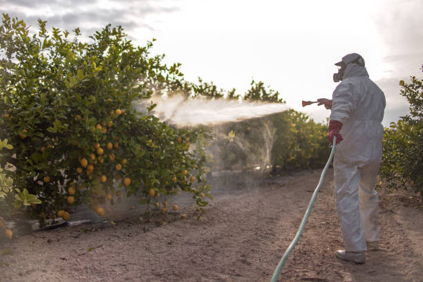 Best Best Pest Control Companies  in Grass Valley, CA