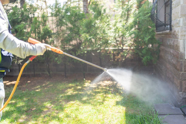 Best Pest Inspection Near Me  in Grass Valley, CA