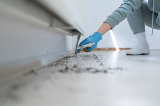 Pest Control Cost in Grass Valley, CA